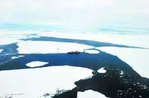 足球女记者身材,足球采访女记者身材