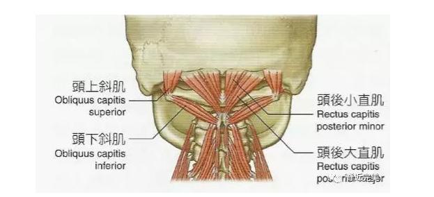 颈椎病眩晕，“三板斧”解决