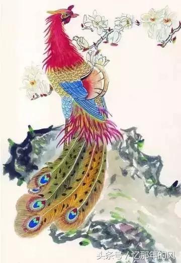 美丽的孔雀和凤凰吉祥的象征,孔雀和凤凰的寓意及象征