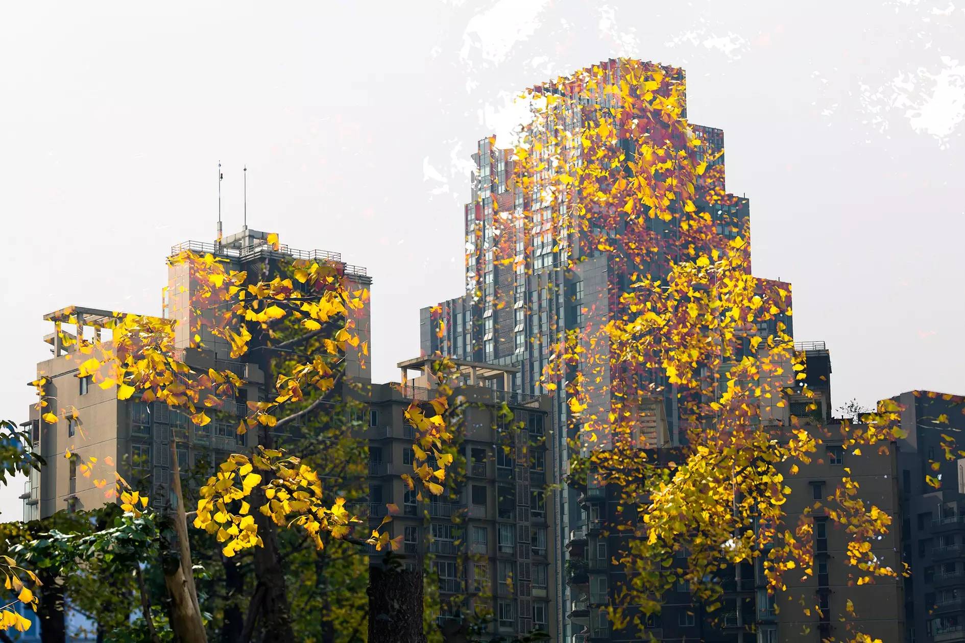 不会玩多曝摄影？看完这10个问题就会了