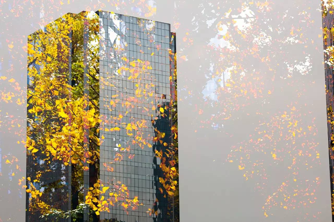 不会玩多曝摄影？看完这10个问题就会了