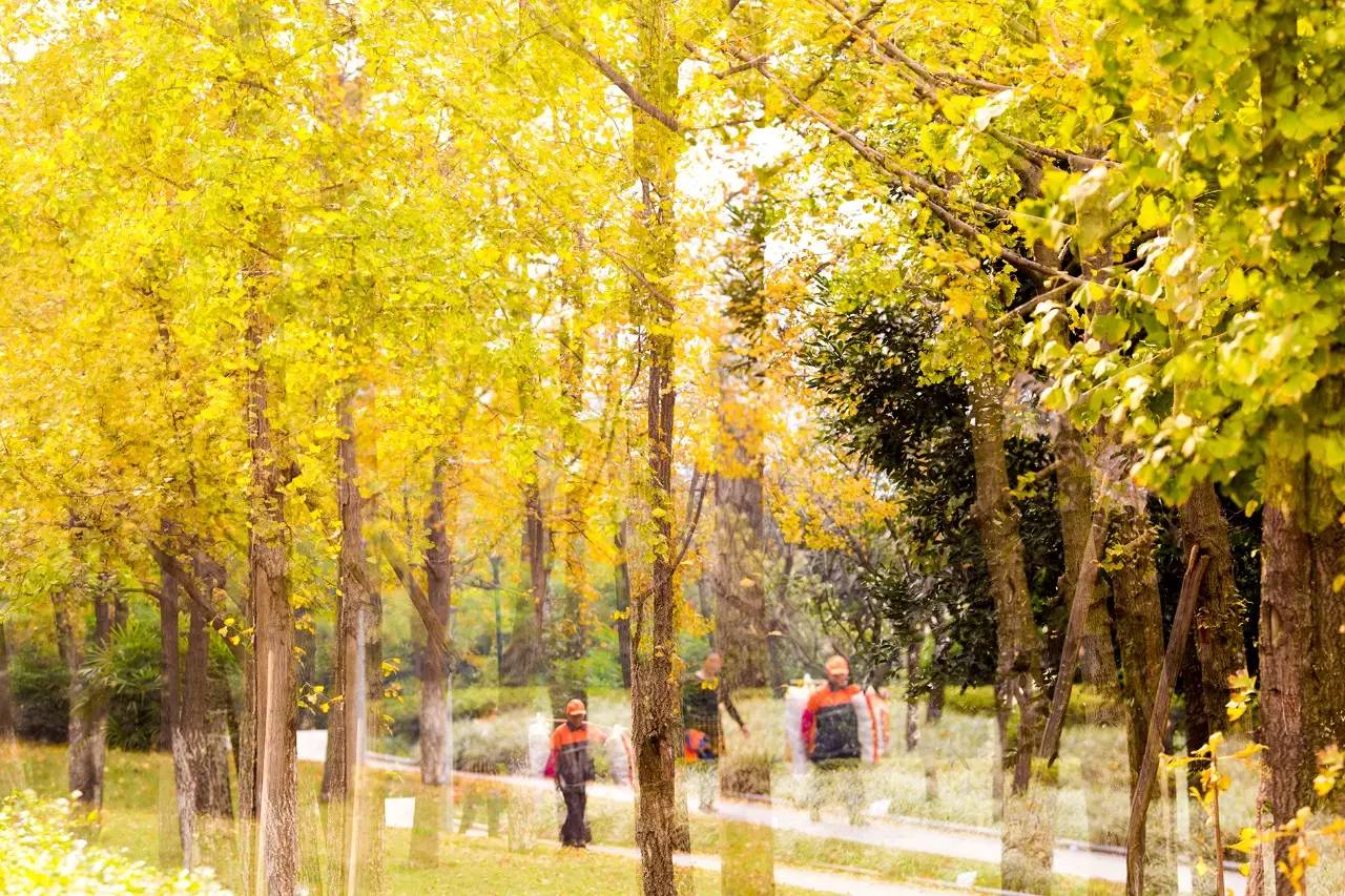 不会玩多曝摄影？看完这10个问题就会了