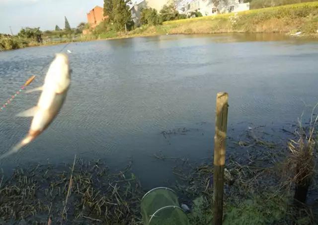 小本创业烧烤,农村如何做烧烤生意好赚钱