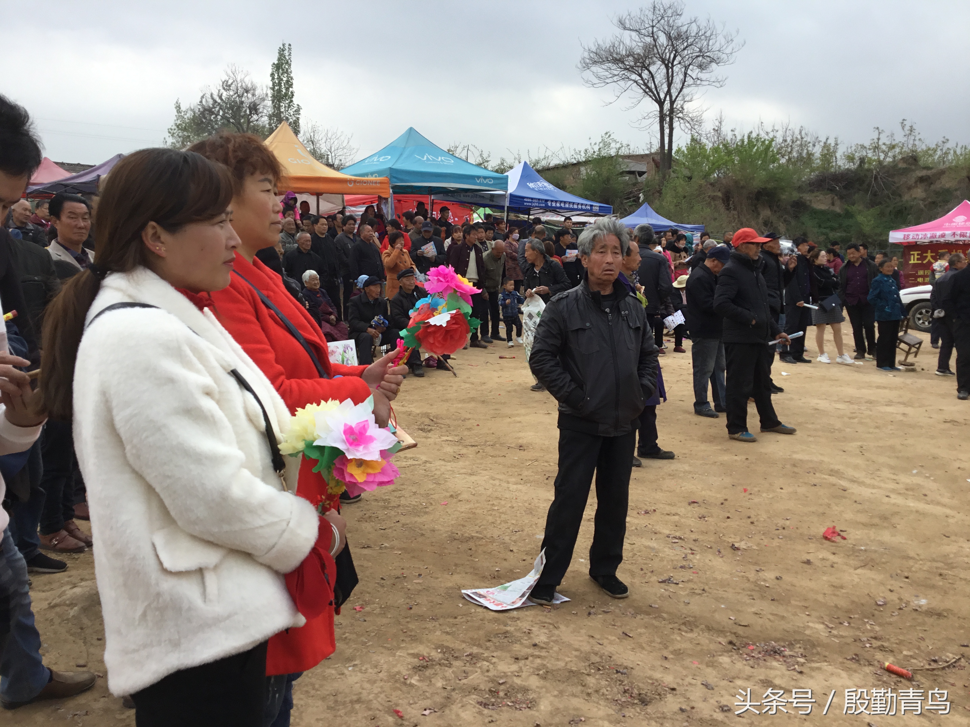 灵宝故县盘西庙会,灵宝市各乡镇庙会