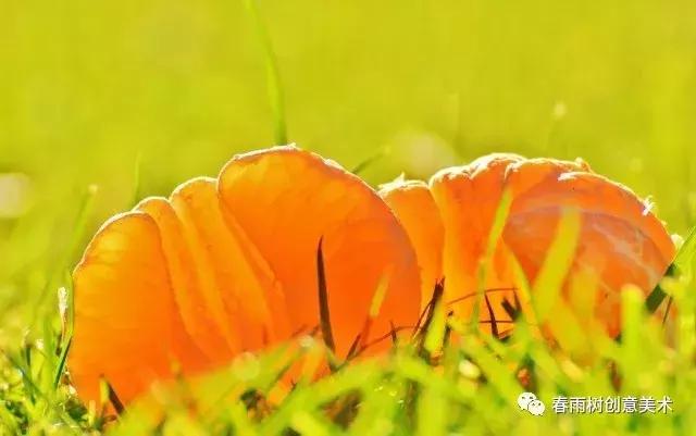 课堂笔记——和孩子一起绘玩水果