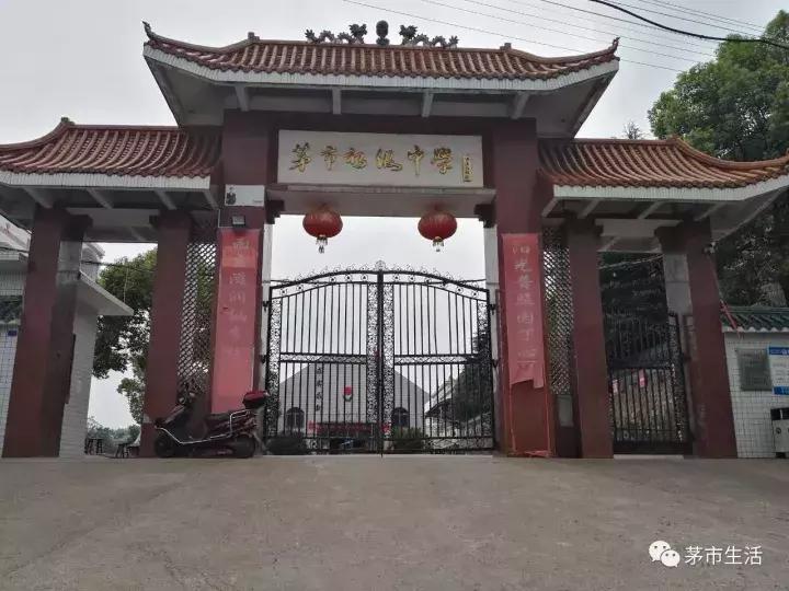 衡南茅市初中，那苦涩而温馨的记忆