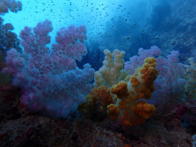 离开喧嚣的城市去野外生活三年,逃离都市喧嚣回归心灵栖居地