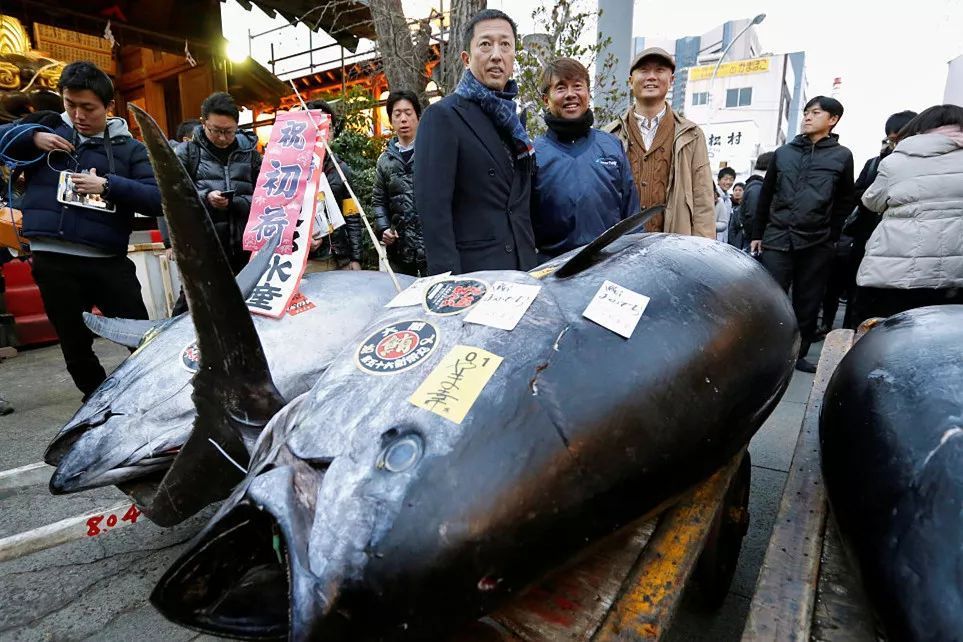 日本料理里经常点的鱼,日本料理最正宗的是什么鱼