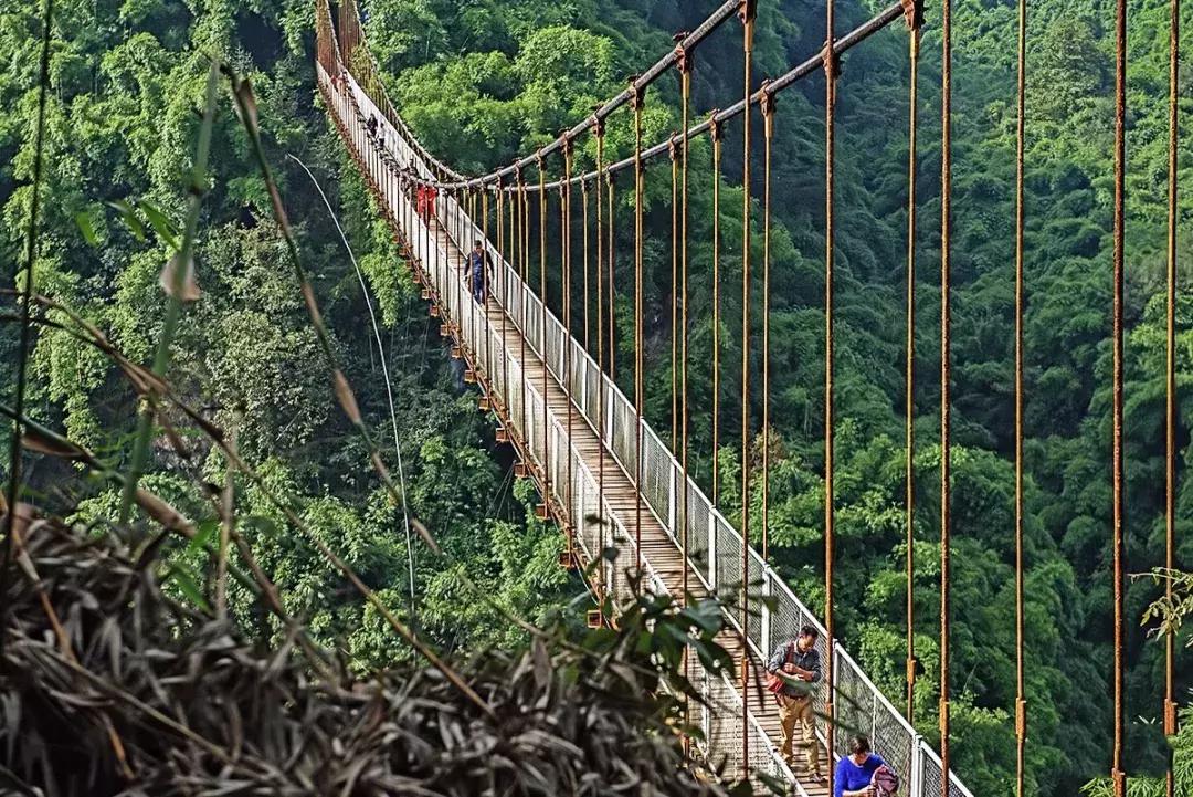 成都周边洗肺好去处,成都周边私藏的8个洗肺胜地