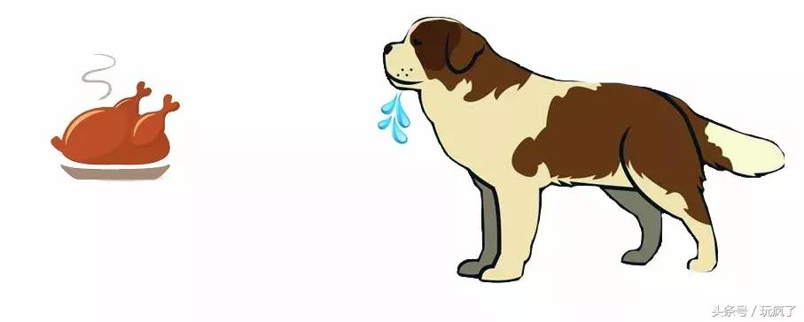 动物灵活训练,训练动物必杀技