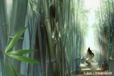 为何你不懂我的寂寞,我的寂寞你不懂