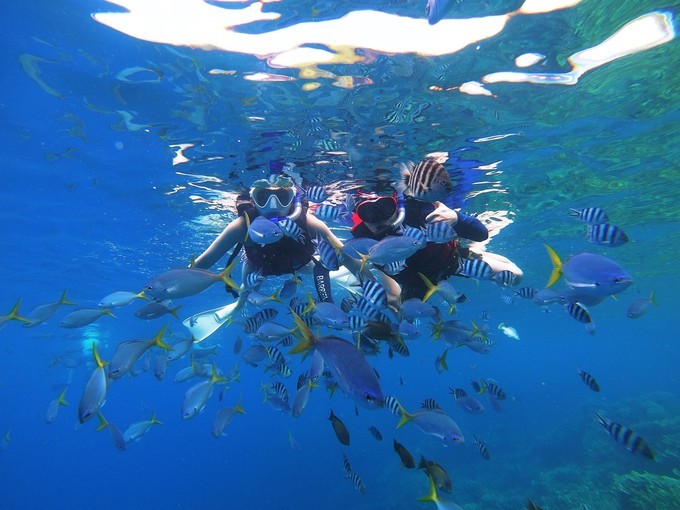 不需要做任何攻略就去的海岛国家!这样便可以玩转帕劳!