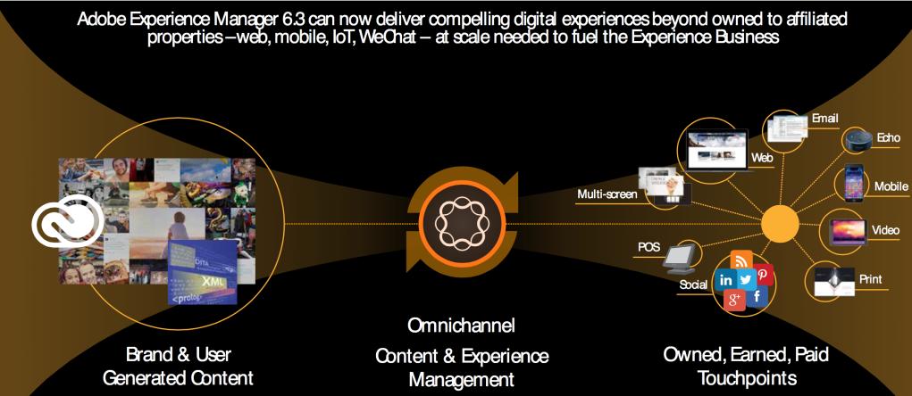 缇庡浗绗竴鐗涜偂,缇庡浗鍗佸ぇ椤剁骇鐗涜偂