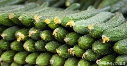 黄瓜用避孕药催熟,黄瓜催熟用避孕药