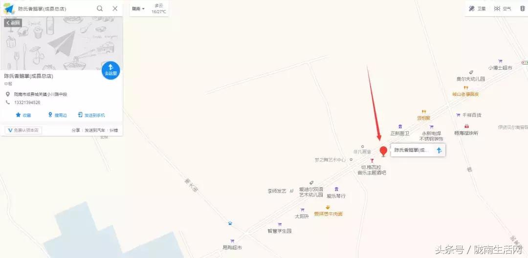 四川成县陈氏香鹅掌,四川成县香鹅掌