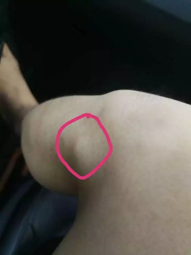 蔡赟的训练方法和理念,蔡赟的解说