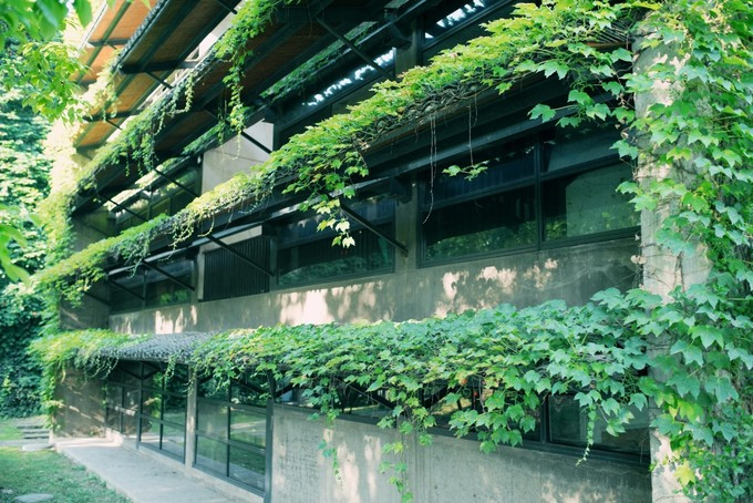 涔濇邯鐙竴鏃犱簩,涔濇邯娓哥帺鎰熸偀