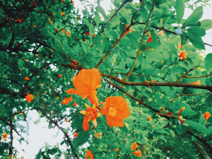 涔濇邯鐙竴鏃犱簩,涔濇邯娓哥帺鎰熸偀