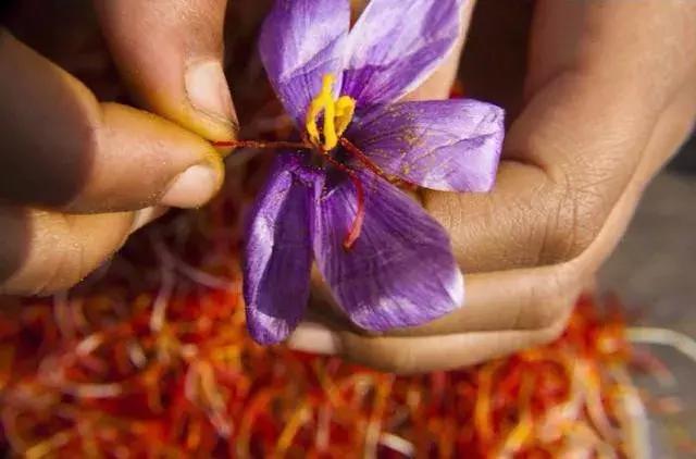 你还知道哪些最贵的东西,什么是世界上最贵的十种东西