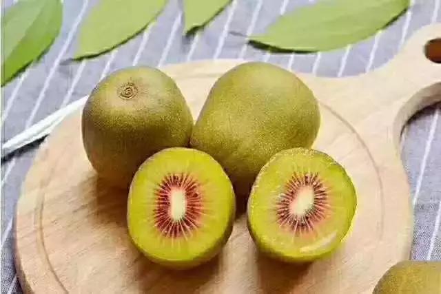 飞两千多公里,得到一座奇幻山林,一个温暖的家,一群有趣的人