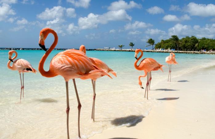 被潜水爱好者誉为10个全球最迷人的潜水天堂，大饱你眼福