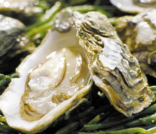 蛎黄都有几个叫法,蛎黄是什么海鲜