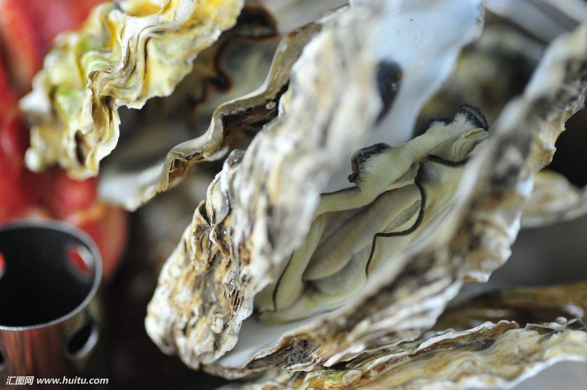 蛎黄都有几个叫法,蛎黄是什么海鲜