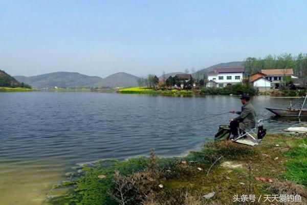 冬天用酒米打窝还是窝料打窝,玉米打窝好还是固体窝料打窝好