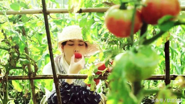 越看越饿的美食电影,看完有食欲的视频