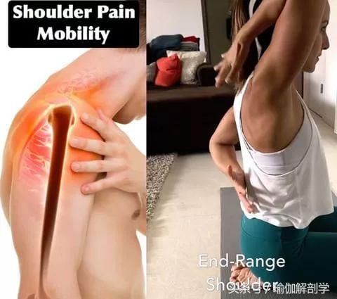 最新疼痛理疗视频,修复理疗瑜伽体式