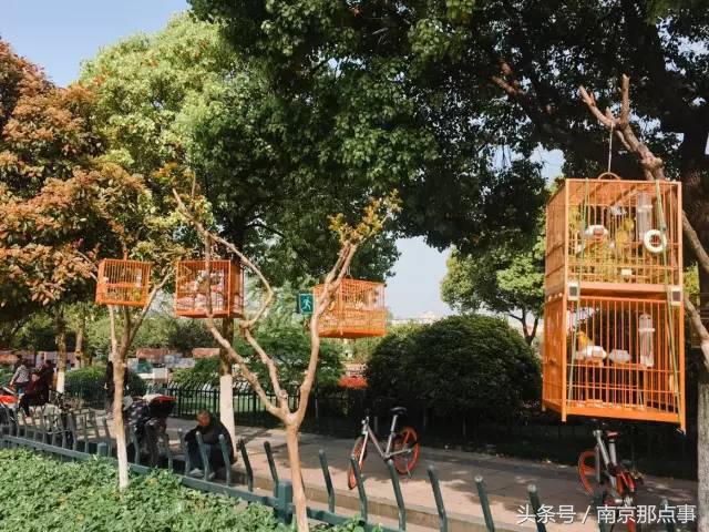 南京必去的七大美食街新街口,南京小众一条街