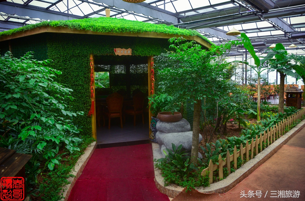 株洲生态休闲农庄生态餐饮,株洲野生鱼饭店