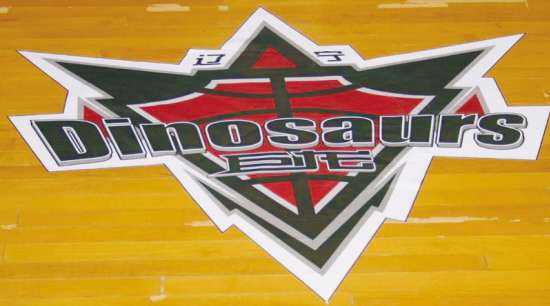 辽宁cba赛程表2021-2022辽宁男篮,辽宁男篮总决赛历届cba战绩