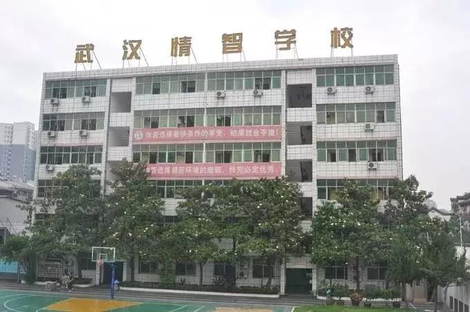 2021武汉民办高中升学率怎么样,武汉民办初中升学率排名