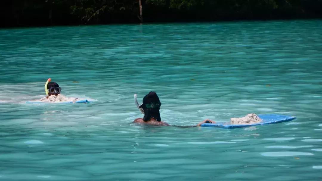 帕劳旅游攻略潜水点,帕劳自由行最值得去的潜水天堂