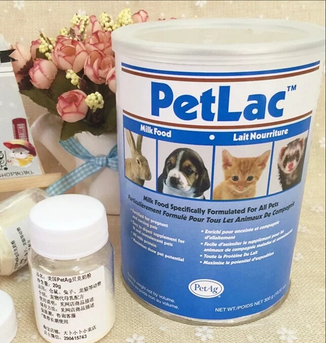 龙猫给自己的宝宝喂奶,龙猫妈妈给宝宝们喂奶