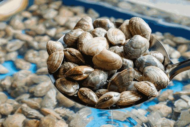 天津高端自助海鲜价位,天津顶级自助海鲜