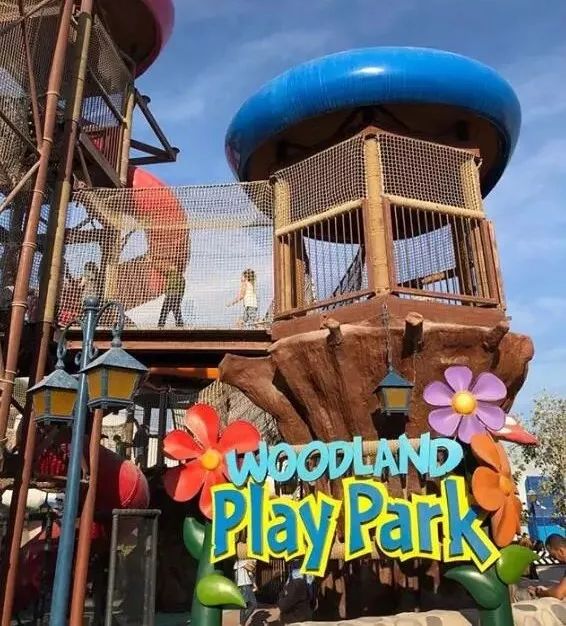 迪拜转机如何游玩,迪拜转机一日游怎么玩