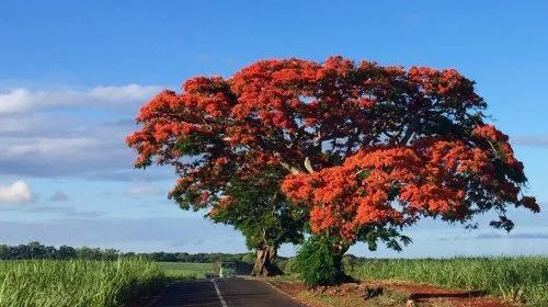 去他喵论文、校招，旅行才是刚需！毕业前享受最后一波学生优惠！