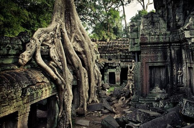 去他喵论文、校招，旅行才是刚需！毕业前享受最后一波学生优惠！