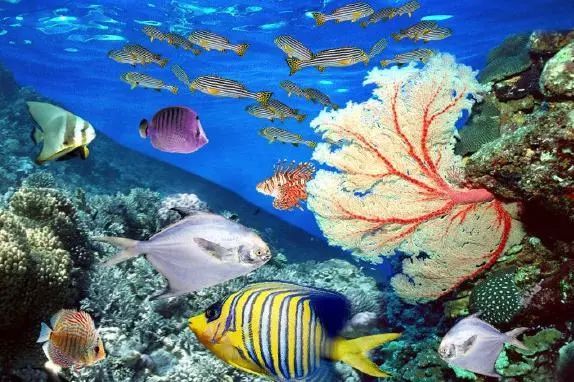 去他喵论文、校招，旅行才是刚需！毕业前享受最后一波学生优惠！