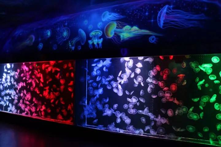 郑州韩式汗蒸馆胜地,郑州韩汤汇韩式汗蒸馆