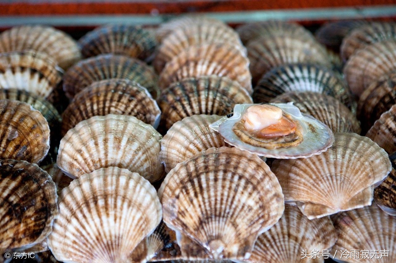 秦皇岛阿那亚海鲜攻略,秦皇岛海鲜攻略