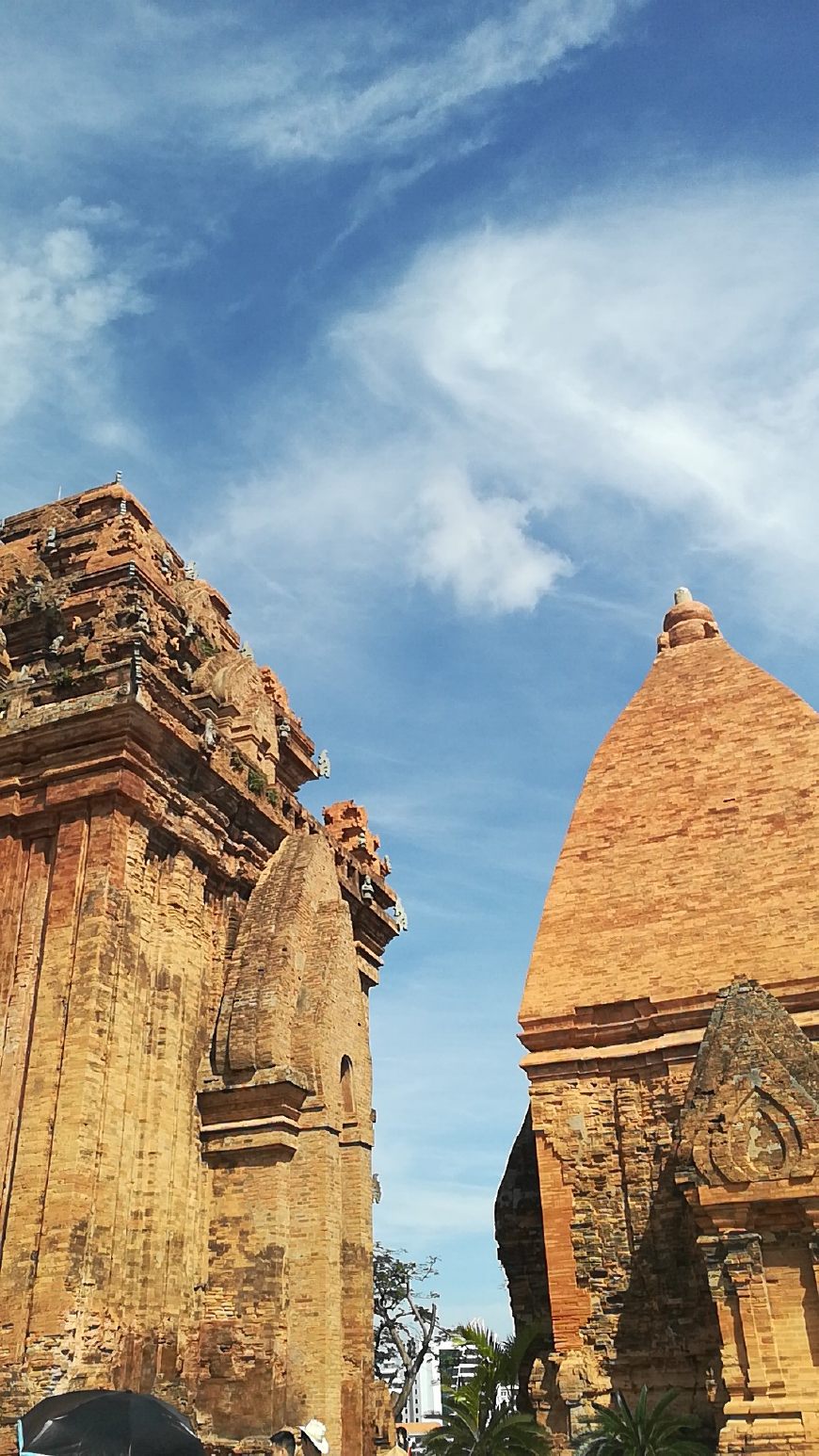 越南芽庄旅游骗局曝光,越南芽庄旅游团骗局