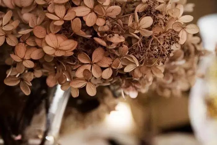 永生花制作方法视频直播,永生花插花制作方法