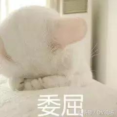 女子经期跑步大出血,女子跑步导致出血