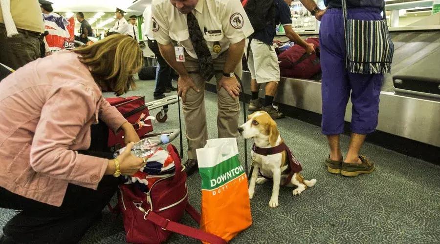 香港购物回来被海关查,海外购物被海关查验后怎么办