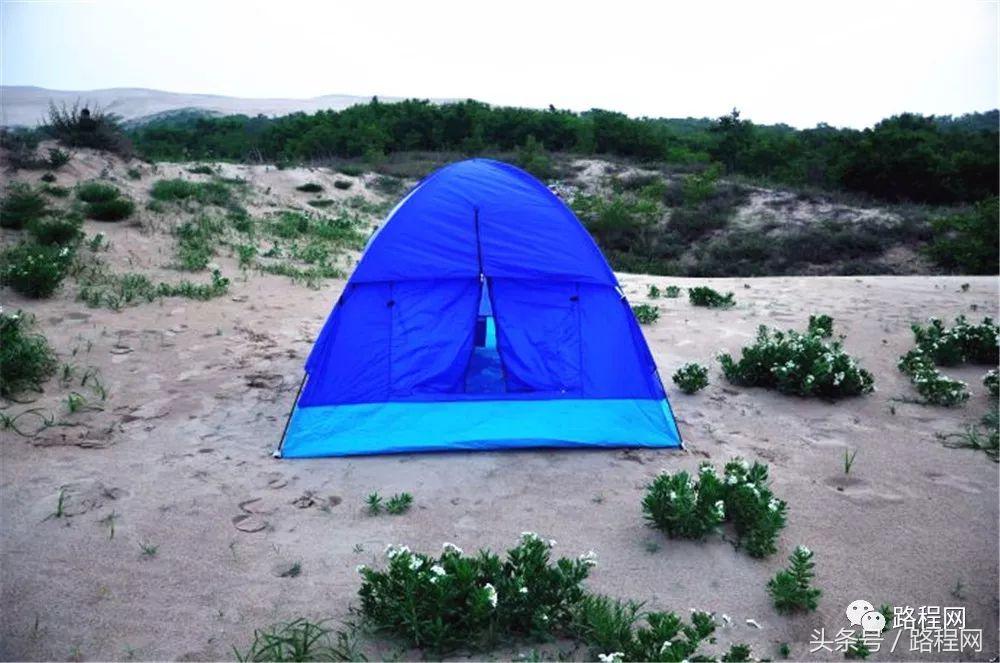 河北露营基地前景,中国露营营地市场规模