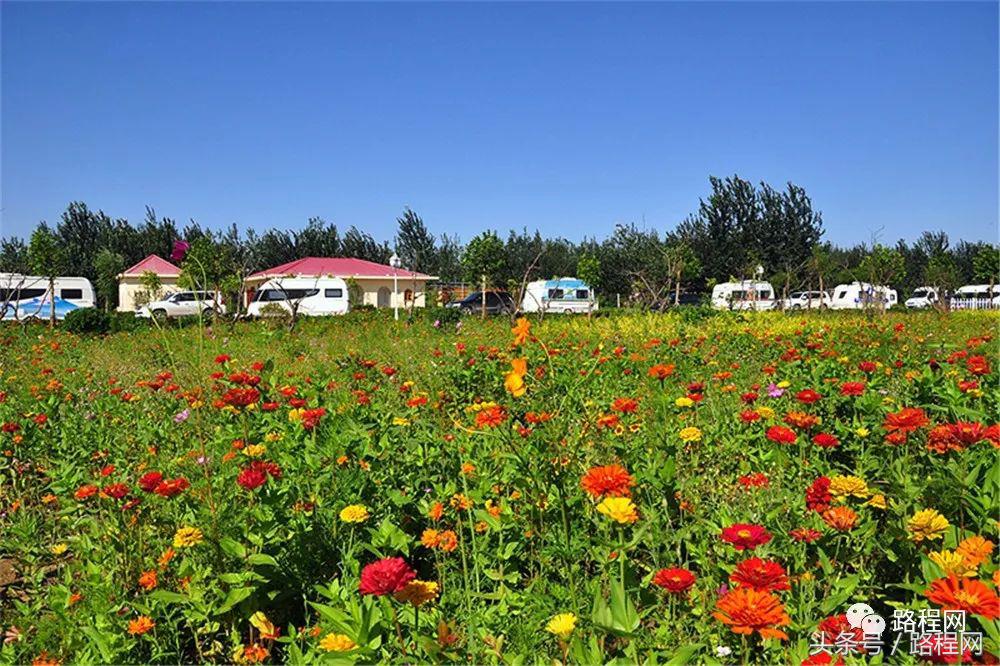 河北露营基地前景,中国露营营地市场规模