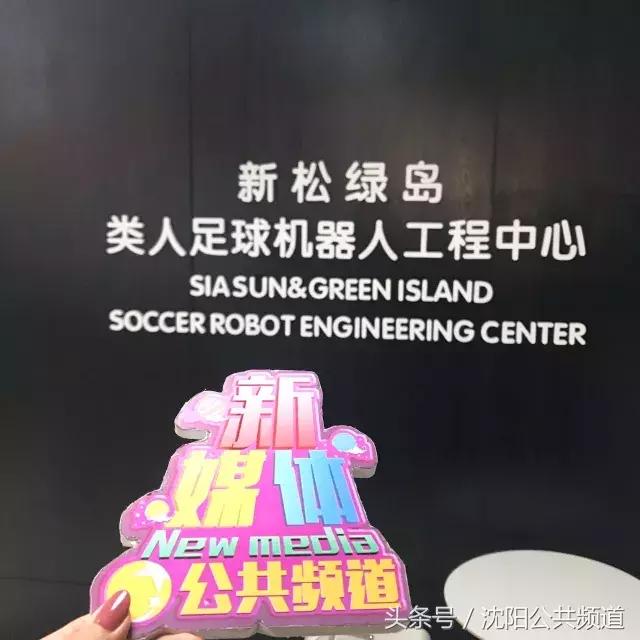 机器人足球比赛冠军,青少年机器人足球世界杯